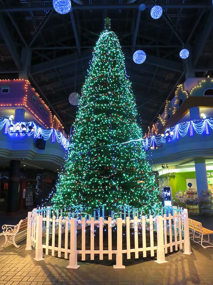 レオマワールドのクリスマスツリー