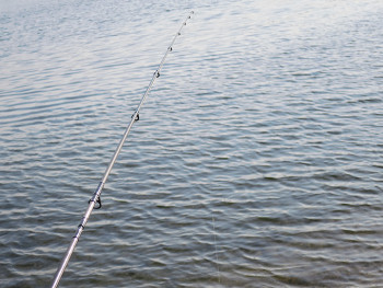 シーバスを釣る為に重要な要素！流れについて！！