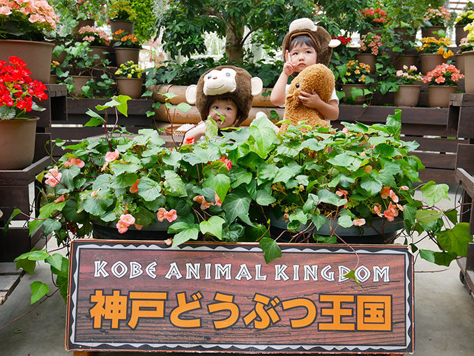 夏でも楽しめる「神戸どうぶつ王国」へ行ってきました！！