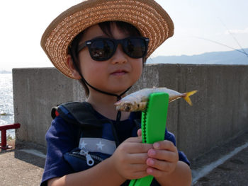 鳴尾浜の海釣り公園にて子供達と一緒にサビキ釣り！！