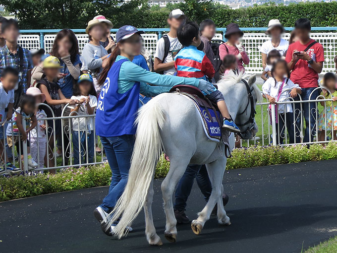 阪神競馬場のポニー乗馬体験中